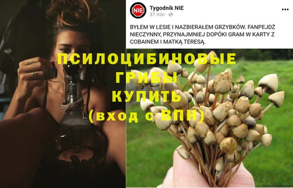 ALPHA PVP Абаза